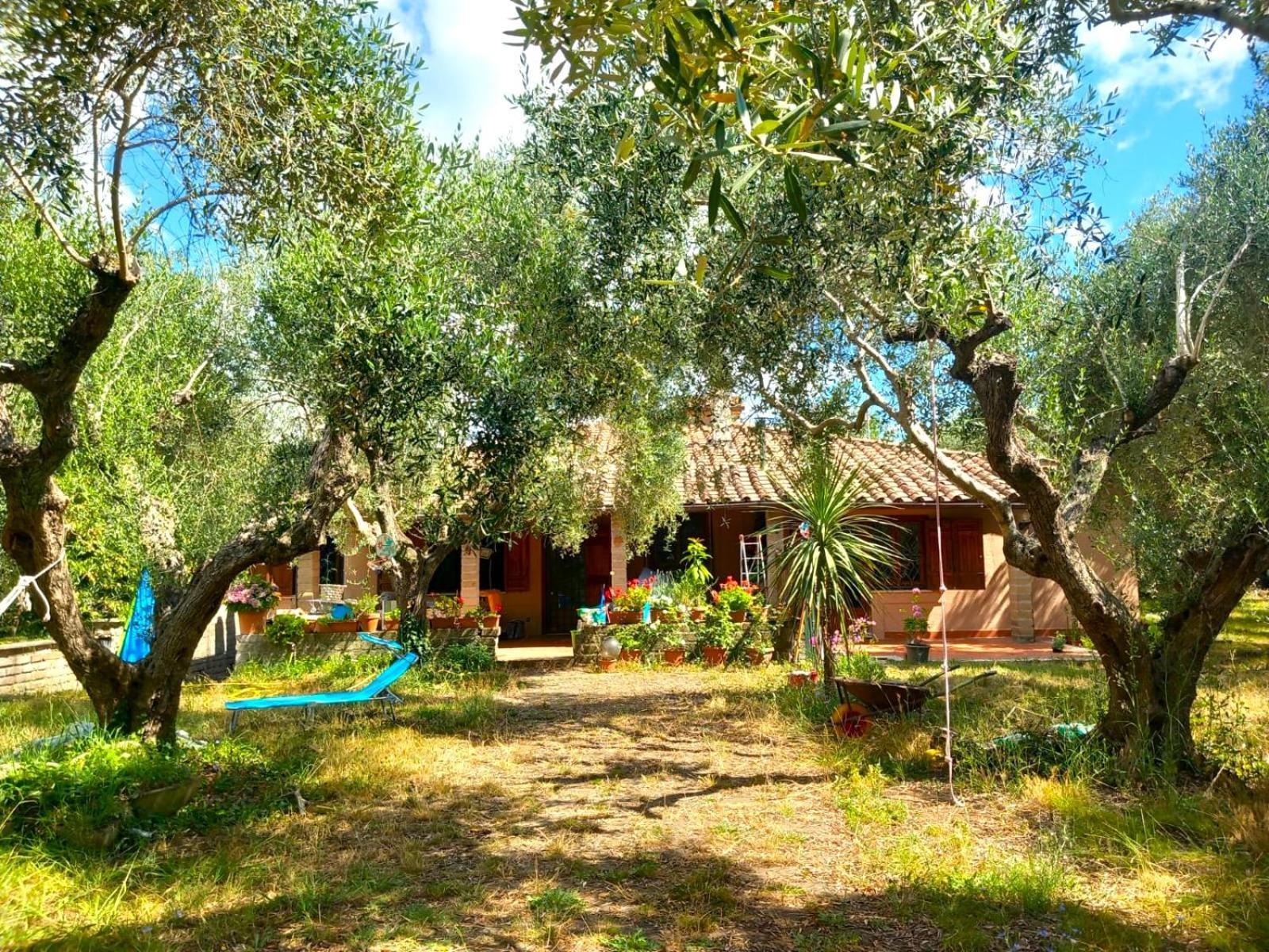 All'Ombra Degli Olivi Pisciarelli Exteriör bild